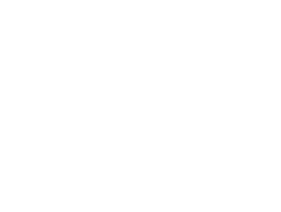 Levefort - Desde 1962